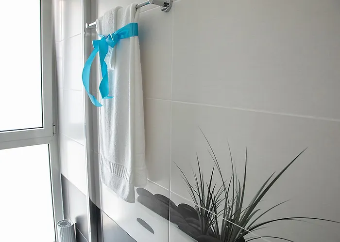 Real Holidays * נאזרה